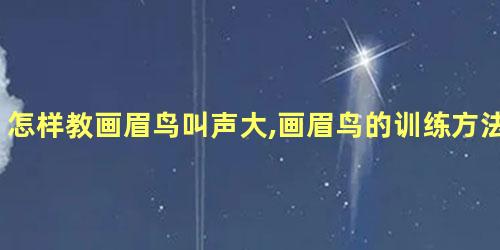 怎样教画眉鸟叫声大,画眉鸟的训练方法