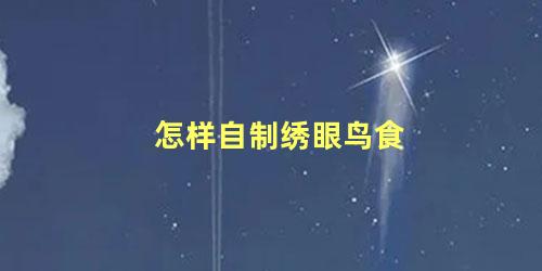 怎样自制绣眼鸟食