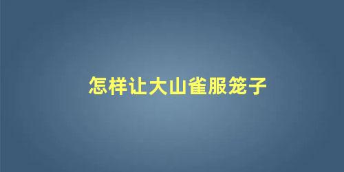 怎样让大山雀服笼子