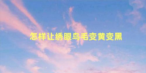 怎样让绣眼鸟毛变黄变黑