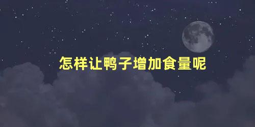 怎样让鸭子增加食量呢