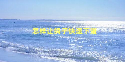 怎样让鸽子快速下蛋