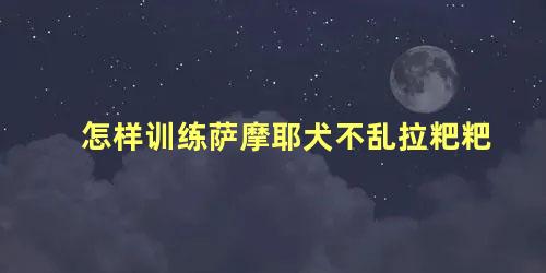 怎样训练萨摩耶犬不乱拉粑粑