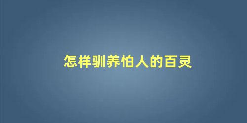 怎样驯养怕人的百灵