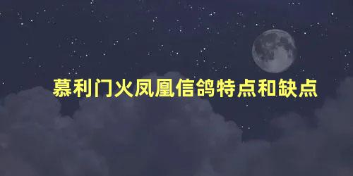 慕利门火凤凰信鸽特点和缺点