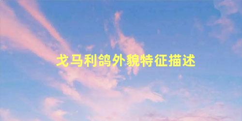 戈马利鸽外貌特征描述