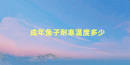 成年兔子耐寒温度多少