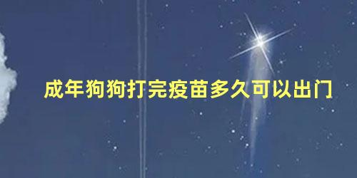 成年狗狗打完疫苗多久可以出门