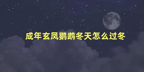 成年玄凤鹦鹉冬天怎么过冬