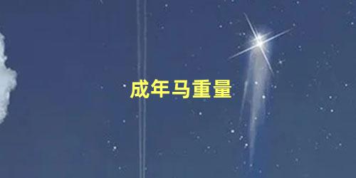 成年马重量