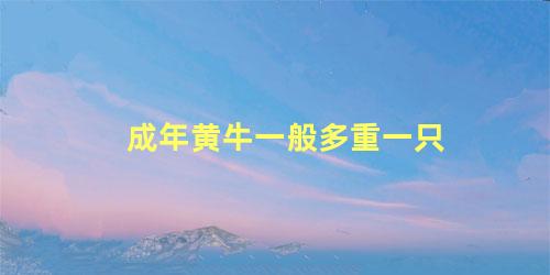 成年黄牛一般多重一只