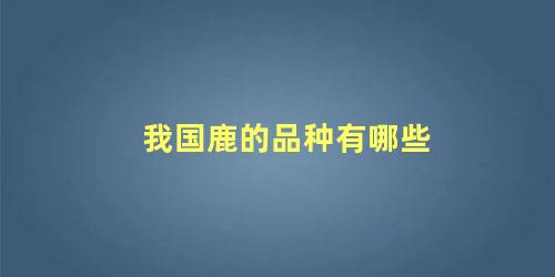 我国鹿的品种有哪些