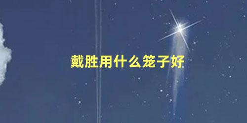 戴胜用什么笼子好