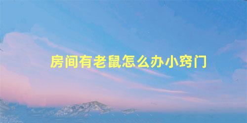 房间有老鼠怎么办小窍门