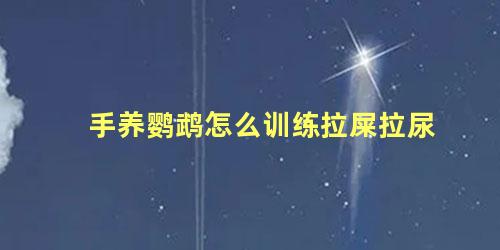 手养鹦鹉怎么训练拉屎拉尿