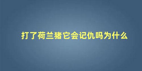 打了荷兰猪它会记仇吗为什么