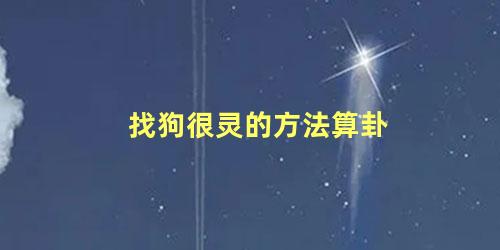 找狗很灵的方法算卦