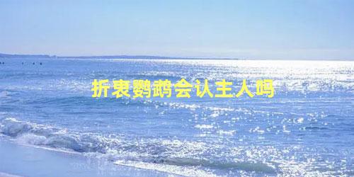 折衷鹦鹉会认主人吗