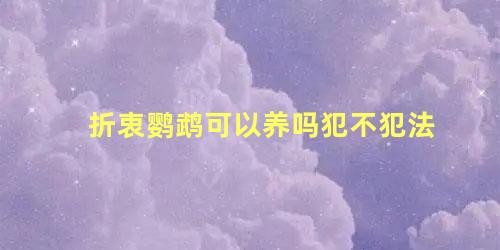 折衷鹦鹉可以养吗犯不犯法