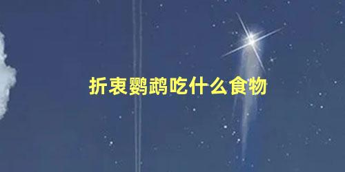 折衷鹦鹉吃什么食物