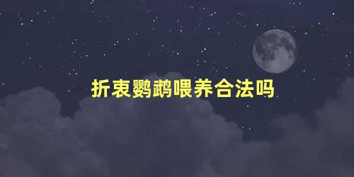 折衷鹦鹉喂养合法吗