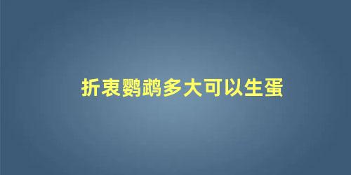 折衷鹦鹉多大可以生蛋