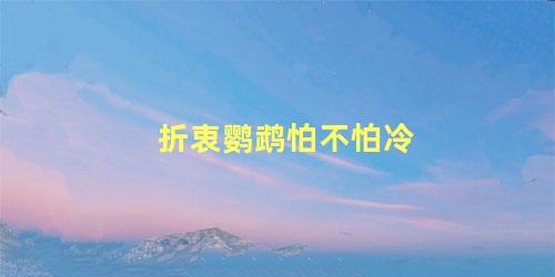 折衷鹦鹉怕不怕冷