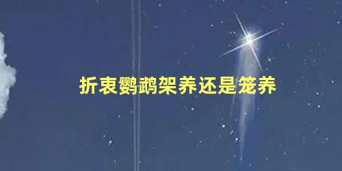折衷鹦鹉架养还是笼养