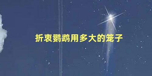 折衷鹦鹉用多大的笼子
