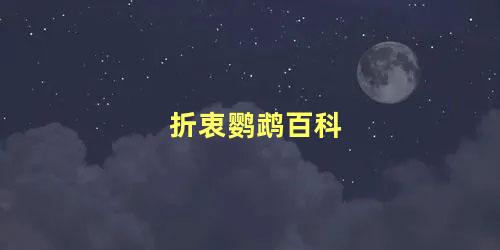 折衷鹦鹉百科