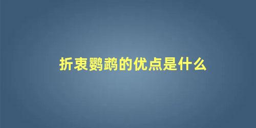 折衷鹦鹉的优点是什么