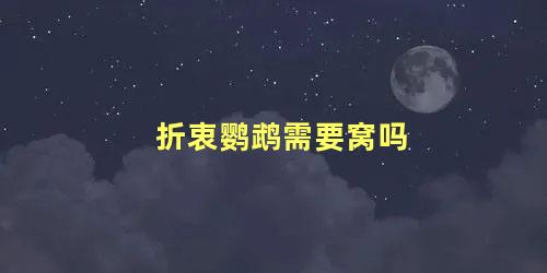 折衷鹦鹉需要窝吗