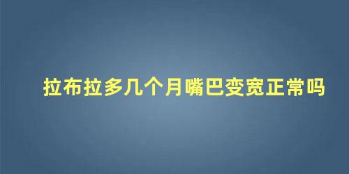 拉布拉多几个月嘴巴变宽正常吗