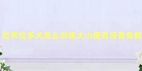 拉布拉多犬怎么训练大小便有没有免费训狗的