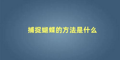 捕捉蝴蝶的方法是什么
