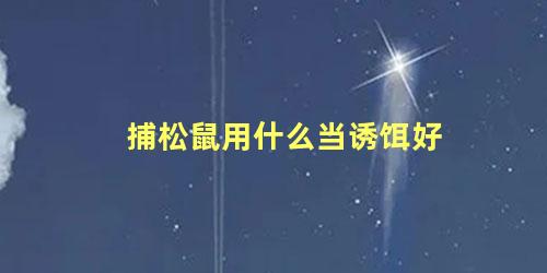 捕松鼠用什么当诱饵好