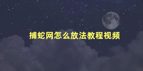 捕蛇网怎么放法教程视频