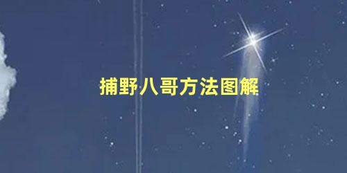捕野八哥方法图解