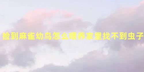 捡到麻雀幼鸟怎么喂养家里找不到虫子怎么办