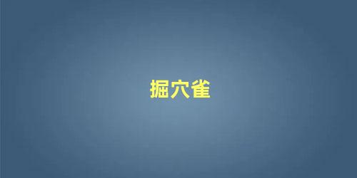 掘穴雀