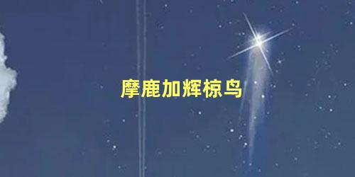 摩鹿加辉椋鸟