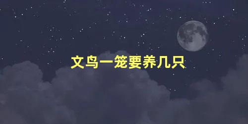 文鸟一笼要养几只