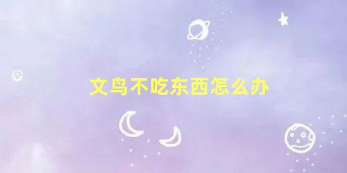 文鸟不吃东西怎么办