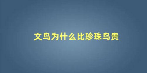文鸟为什么比珍珠鸟贵
