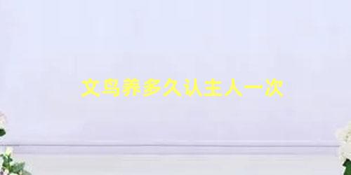 文鸟养多久认主人一次