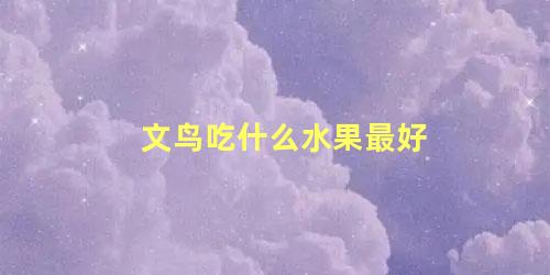 文鸟吃什么水果最好