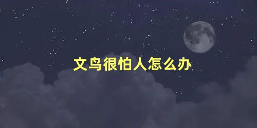 文鸟很怕人怎么办