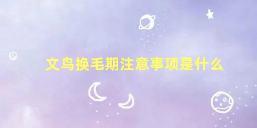 文鸟换毛期注意事项是什么