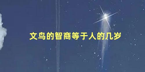 文鸟的智商等于人的几岁