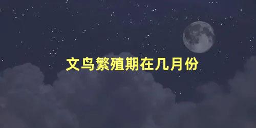 文鸟繁殖期在几月份
